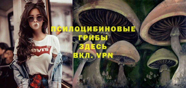 винт Алзамай