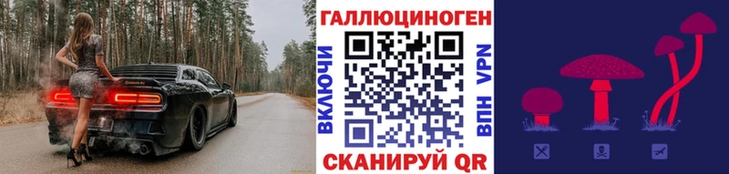 магазин продажи Курлово Псилоцибиновые грибы Psilocybe